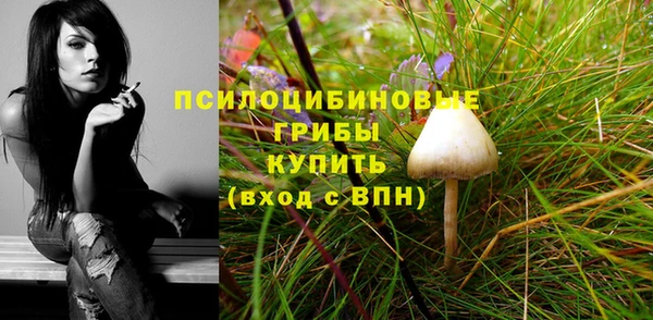шишки Приозерск