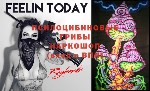 амф Алексин