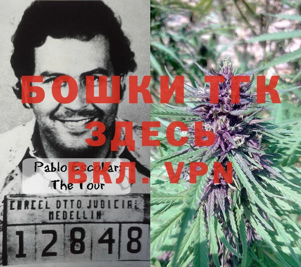 бошки Пролетарск