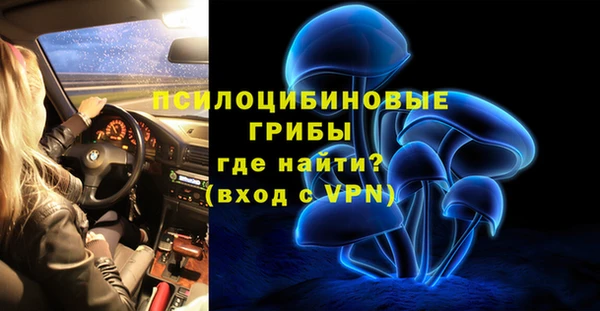 амф Алексин